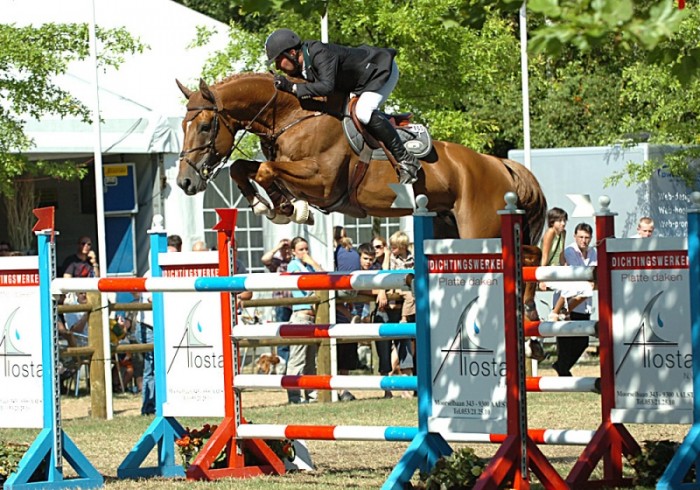 Vigo d'Arsouilles 3e in SBS Masters of Stallions te Gesves.