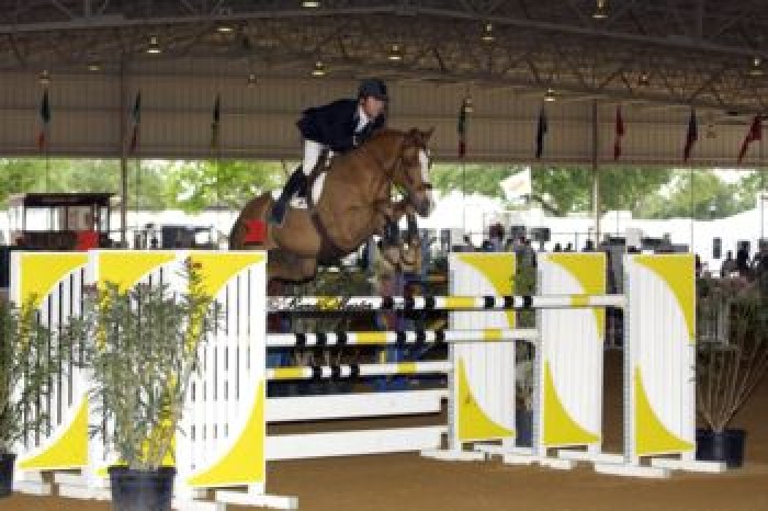 2ième jour CSI 3* Tampa (USA)