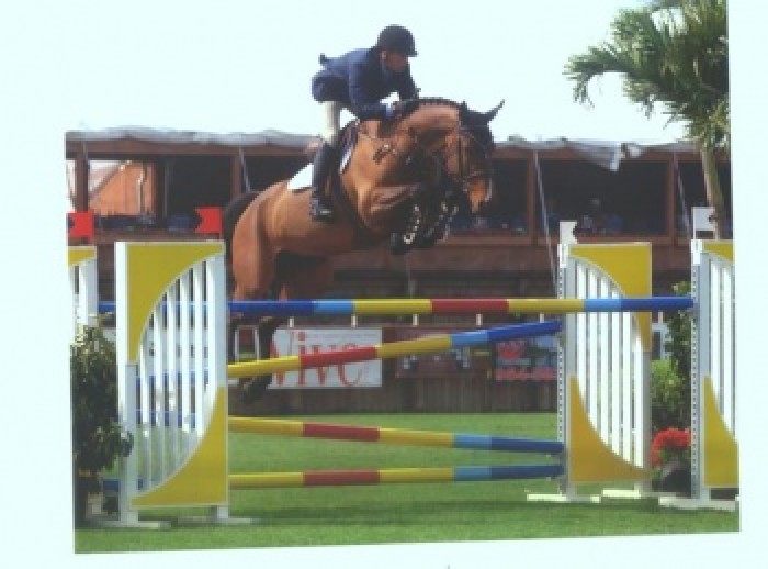 Concours international de Zandhoven (Belgique) - 2ième jour