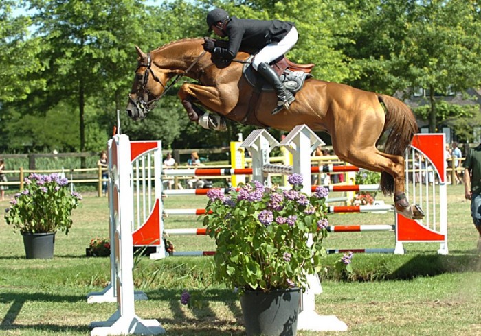 GRAND PRIX CSIO***** LA BAULE (FRANKRIJK)