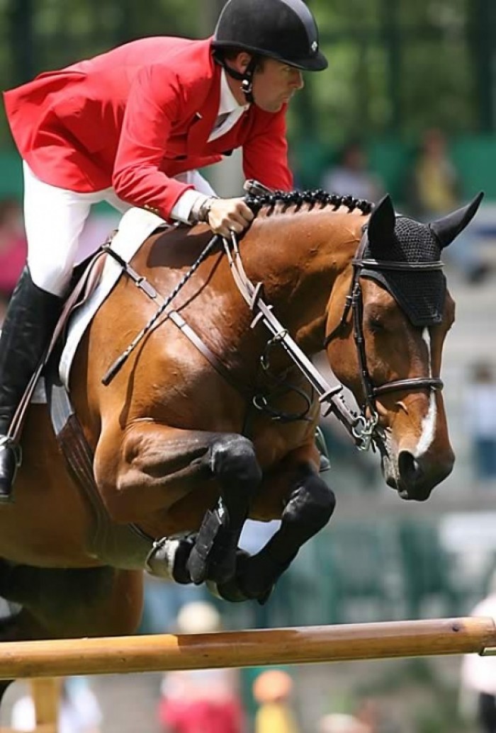 CSI***** MADRID - Eric Lamaze & Narcotique de Muze II 3th in final 1.45m