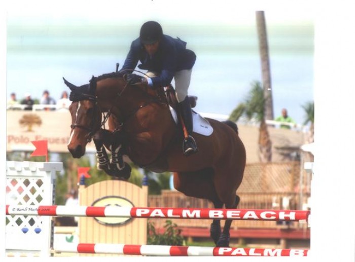 Studbook sBs enters the World Top 10 in jumping !