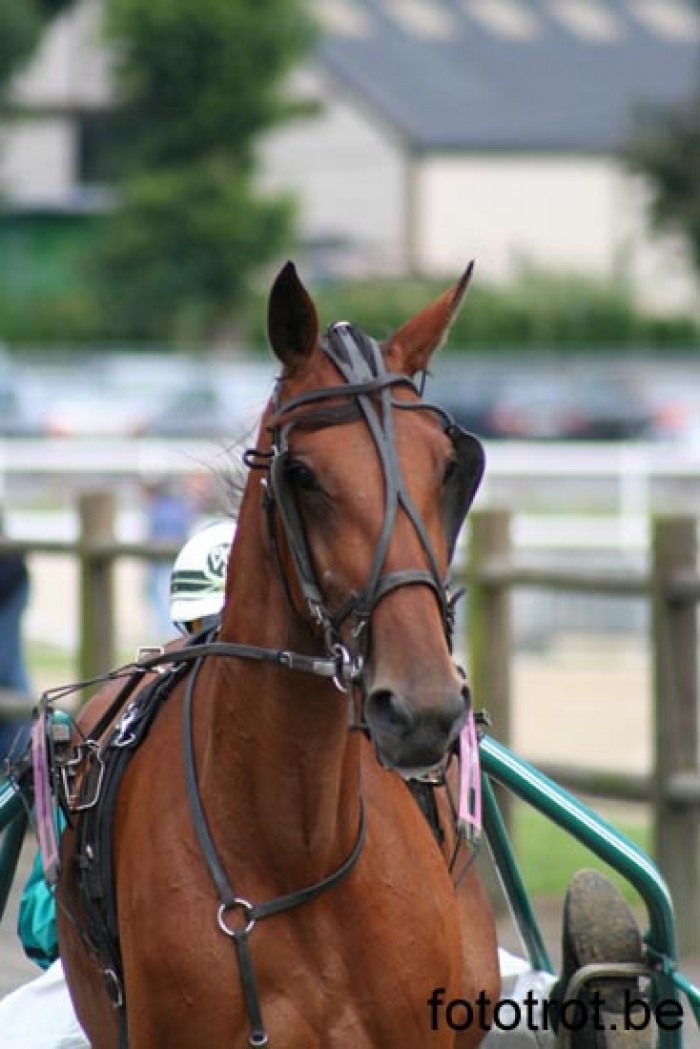 COURSE MONS - QUALIFICATION FOR BELGIAN DARBY 2007