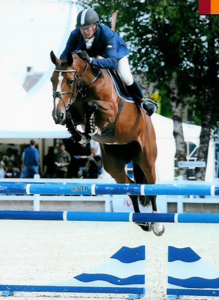Kampioenschap van België Jonge Paarden te Gesves