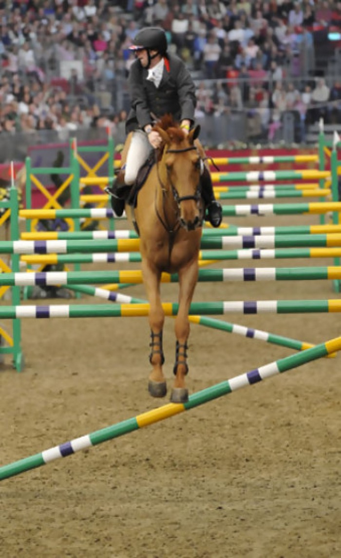 CSI *****- W GENEVE (11-14/12/2008)