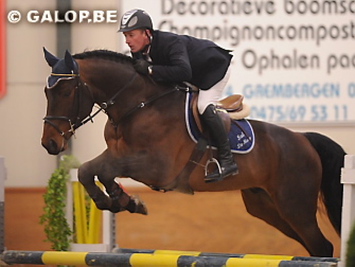 Mazda hengstencompetitie Moerzeke (30/1/2009)