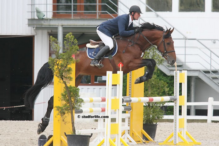 Cyclus Jonge paarden Hulsterlo(9-12/7/2009)