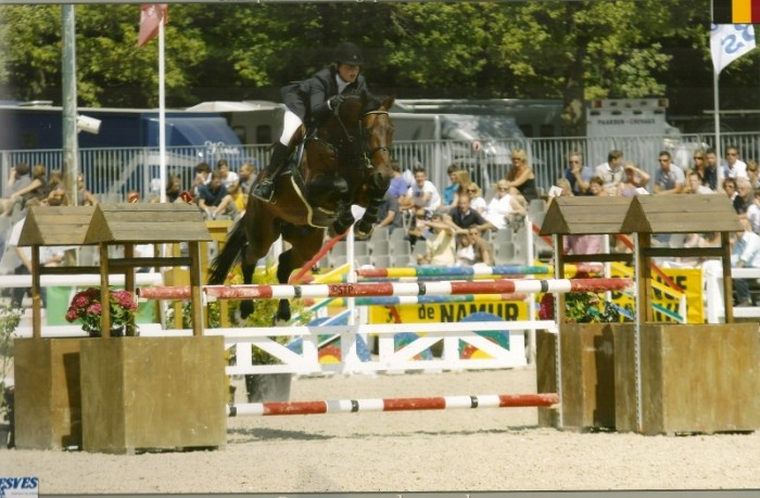 Eindklassement cyclus jonge paarden