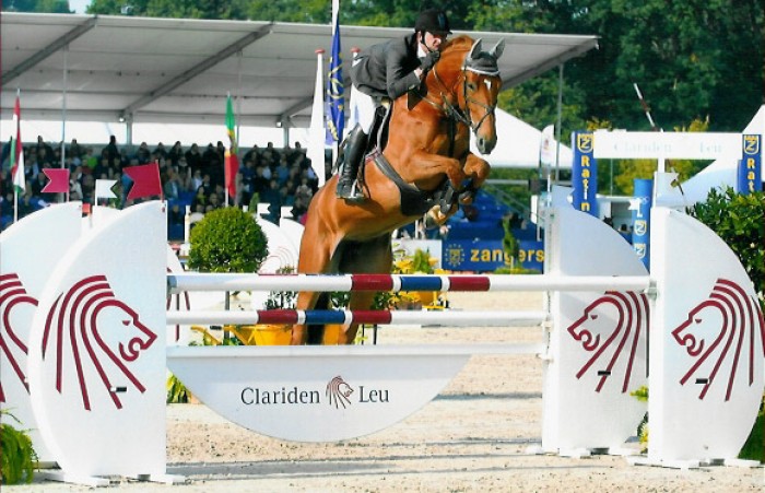 WK JONGE PAARDEN ZANGERSHEIDE