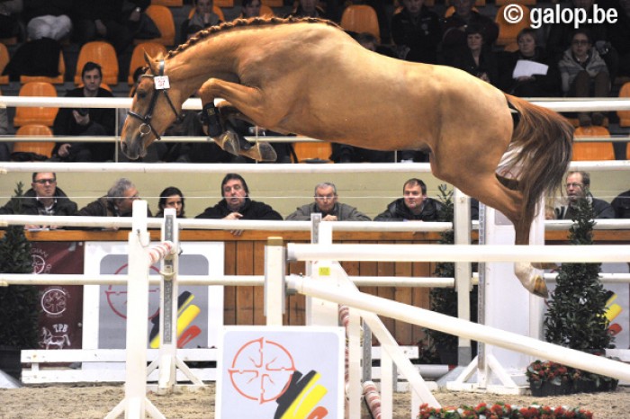 KAISER VAN HET LAMBROECK - SUNSHINE TOUR 2017