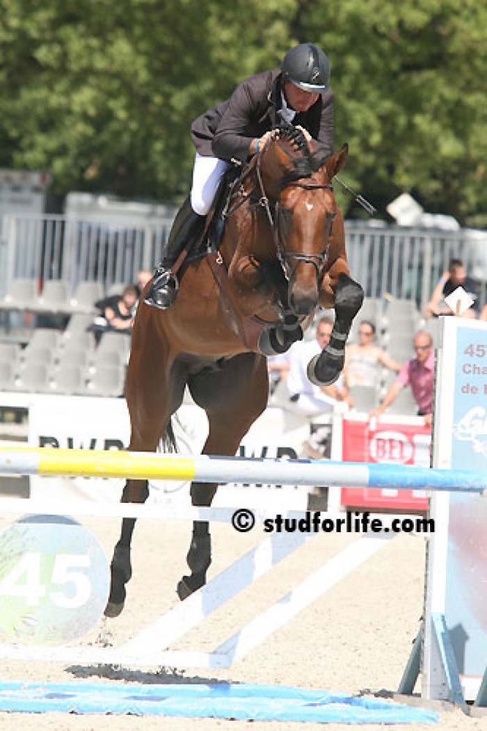 CSI MECHELEN - GP TOPSPORT VLAANDEREN