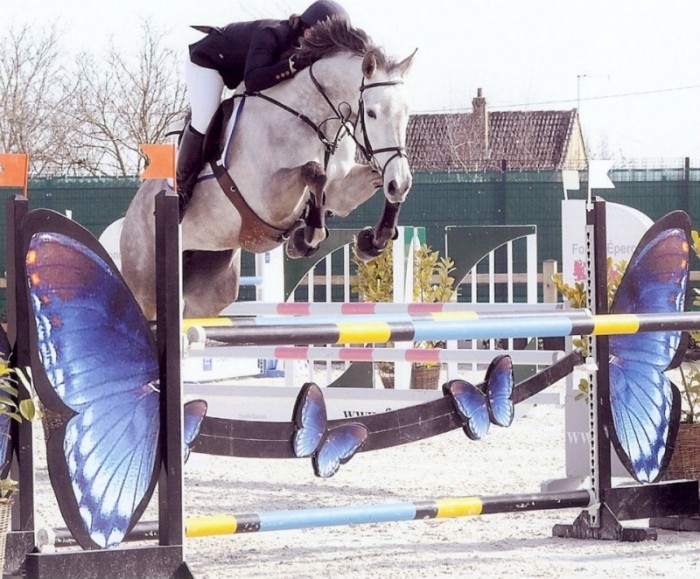 CYCLUS JONGE PAARDEN MOERZEKE