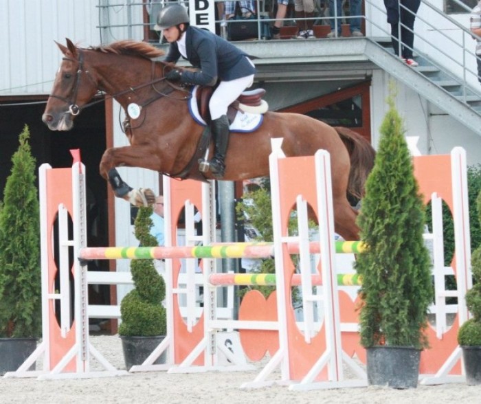 BK JONGE PAARDEN GESVES