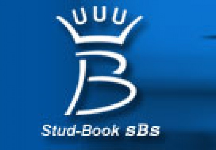 Hengstenkeuring SBS