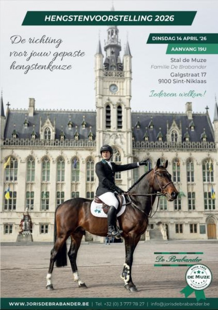 Stallion presentation 14 April 2026