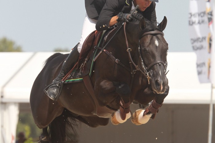 Son of Scendro shines in Williamsburg