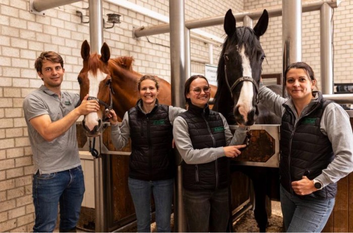 Hands-on equine reproduction externship in Belgium for veterinary and bio-engineering students