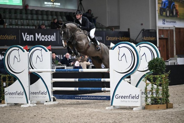 Young talents impress in first round of stallion competition