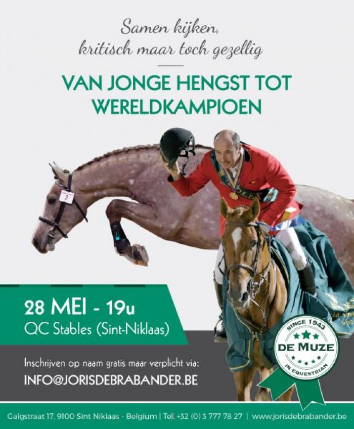 Van jonge hengst tot wereldkampioen