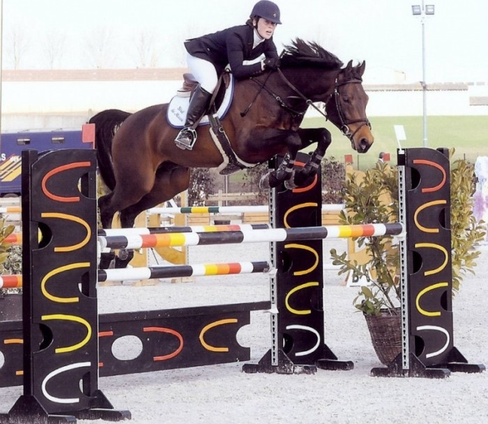 CYCLUS JONGE PAARDEN HASSELT
