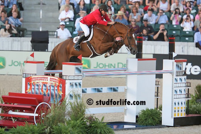 CSI5*-W MECHELEN