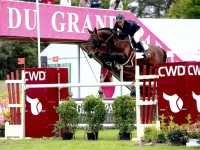 Looking back on the Belgian Championships for young showjumpers