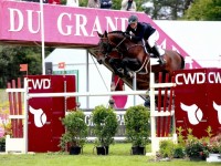 Elvis Ter Putte-offspring triumphs in SBB competition for young horses