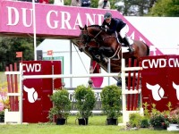 Elvis Ter Putte offspring shines again