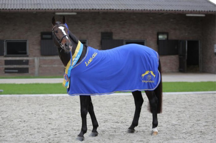 Breeding with Stal de Muze stallions remains possible