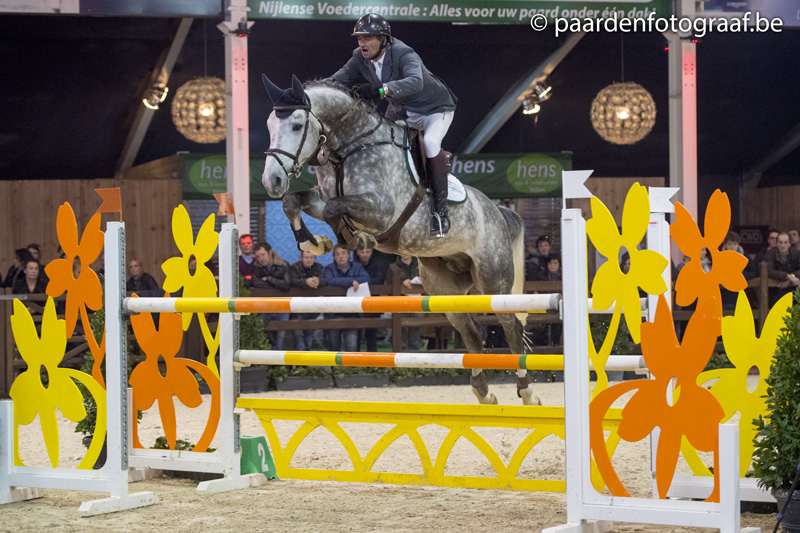 SBS INTERNATIONAL SELECTION SHOW - STALLION COMPETITION