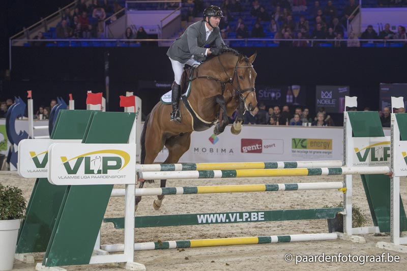 Stallions' stars shine bright at PAVO Stallion Competition