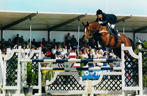 Qerly Chin damline once more successful